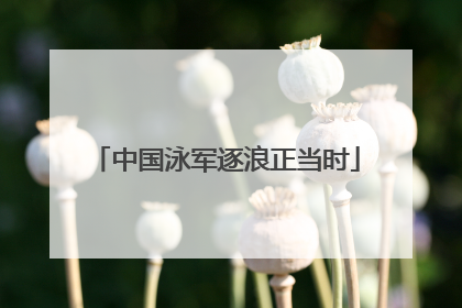 中国泳军逐浪正当时