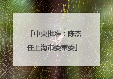 中央批准：陈杰任上海市委常委