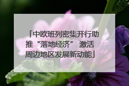 中欧班列密集开行助推“落地经济” 激活周边地区发展新动能