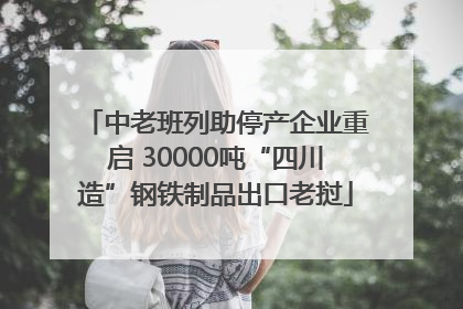中老班列助停产企业重启 30000吨“四川造”钢铁制品出口老挝