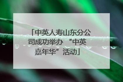 中英人寿山东分公司成功举办 “中英嘉年华”活动