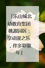 乐山城北幼教育集团桃源园区：享动漫之乐，伴多彩童年