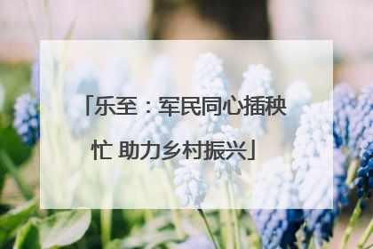 乐至：军民同心插秧忙 助力乡村振兴
