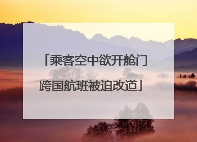乘客空中欲开舱门 跨国航班被迫改道