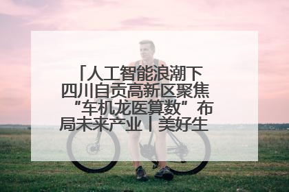 人工智能浪潮下 四川自贡高新区聚焦“车机龙医算数”布局未来产业丨美好生活有“盐”味