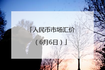 人民币市场汇价（6月6日）