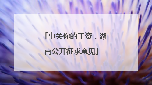 事关你的工资，湖南公开征求意见
