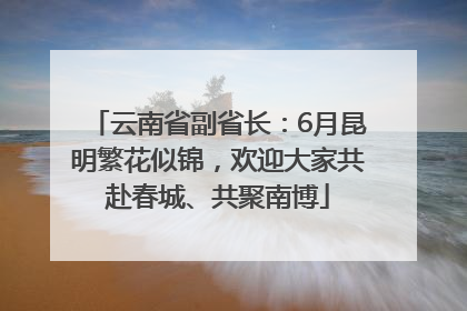 云南省副省长：6月昆明繁花似锦，欢迎大家共赴春城、共聚南博