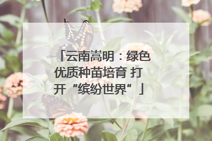 云南嵩明：绿色优质种苗培育 打开“缤纷世界”