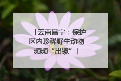 云南昌宁：保护区内珍稀野生动物频频“出镜”