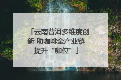 云南普洱多维度创新 助咖啡全产业链提升“咖位”