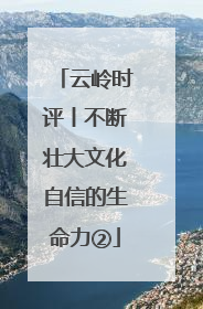 云岭时评丨不断壮大文化自信的生命力②