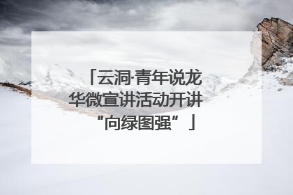 云洞·青年说龙华微宣讲活动开讲“向绿图强”