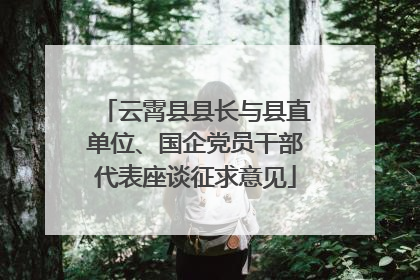 云霄县县长与县直单位、国企党员干部代表座谈征求意见