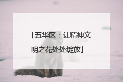 五华区：让精神文明之花处处绽放