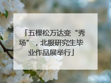 五棵松万达变“秀场”，北服研究生毕业作品展举行