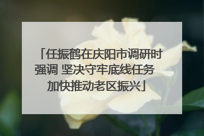 任振鹤在庆阳市调研时强调 坚决守牢底线任务 加快推动老区振兴