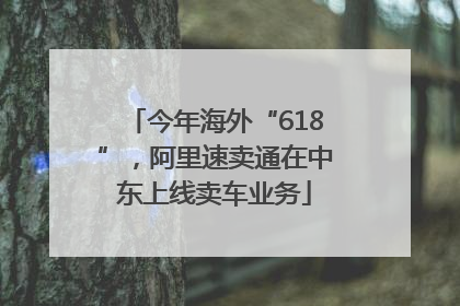 今年海外“618”，阿里速卖通在中东上线卖车业务