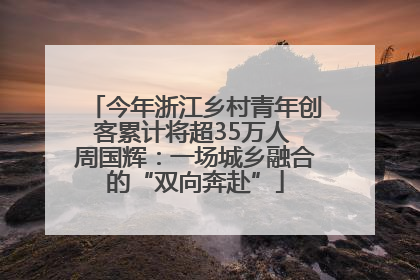 今年浙江乡村青年创客累计将超35万人 周国辉：一场城乡融合的“双向奔赴”