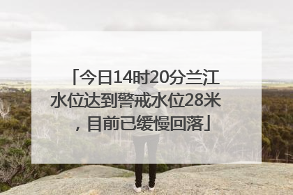 今日14时20分兰江水位达到警戒水位28米，目前已缓慢回落