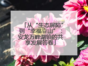 从“生态屏障”到“幸福靠山”：安龙万峰湖镇的共享发展答卷