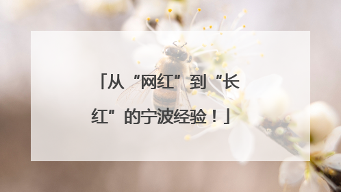 从“网红”到“长红”的宁波经验！