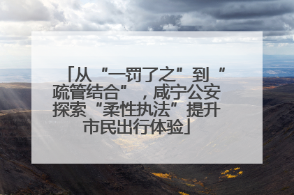 从“一罚了之”到“疏管结合”，咸宁公安探索“柔性执法”提升市民出行体验