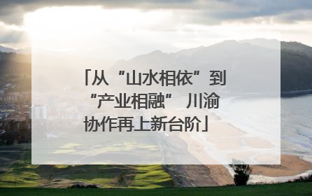 从“山水相依”到“产业相融” 川渝协作再上新台阶