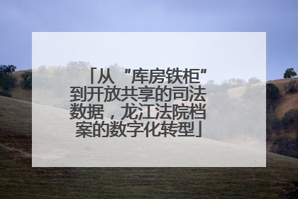 从“库房铁柜”到开放共享的司法数据，龙江法院档案的数字化转型