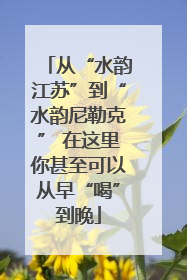 从“水韵江苏”到“水韵尼勒克” 在这里你甚至可以从早“喝”到晚