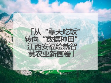 从“靠天吃饭”转向“数据种田” 江西安福绘就智慧农业新画卷