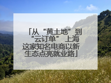 从“黄土地”到“云订单” 上海这家知名电商以新生态点亮就业路