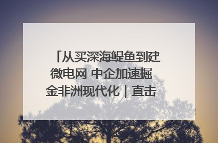 从买深海鳀鱼到建微电网 中企加速掘金非洲现代化｜直击中非经贸博览会