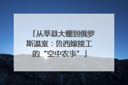 从莘县大棚到俄罗斯温室：鲁西嫁接工的“空中农事”