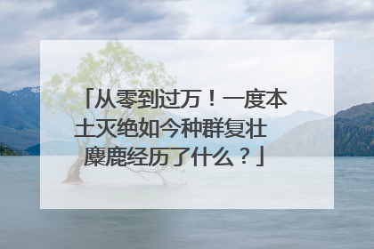 从零到过万！一度本土灭绝如今种群复壮 麋鹿经历了什么？