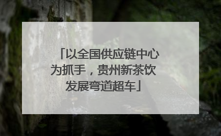 以全国供应链中心为抓手，贵州新茶饮发展弯道超车