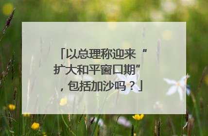 以总理称迎来“扩大和平窗口期”，包括加沙吗？