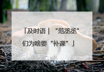 及时语｜“范丞丞”们为啥要“补课”