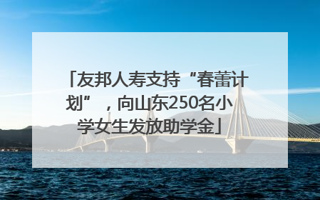 友邦人寿支持“春蕾计划”，向山东250名小学女生发放助学金