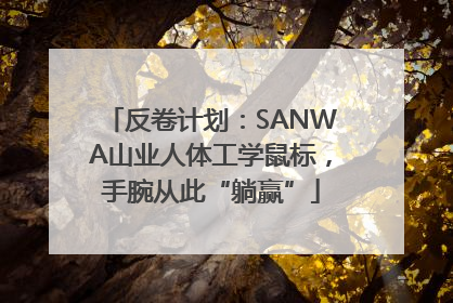 反卷计划：SANWA山业人体工学鼠标，手腕从此“躺赢”