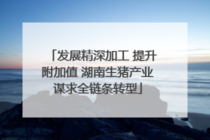发展精深加工 提升附加值 湖南生猪产业谋求全链条转型