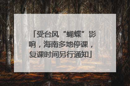 受台风“蝴蝶”影响，海南多地停课，复课时间另行通知