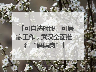 可自选时段、可居家工作，武汉全面推行“妈妈岗”
