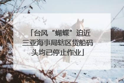 台风“蝴蝶”迫近 三亚海事局辖区货船码头均已停止作业