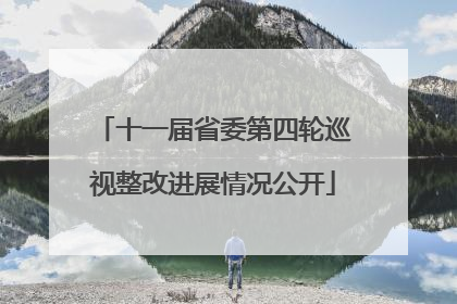 十一届省委第四轮巡视整改进展情况公开