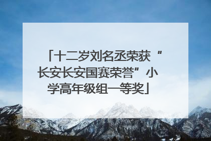 十二岁刘名丞荣获“长安长安国赛荣誉”小学高年级组一等奖