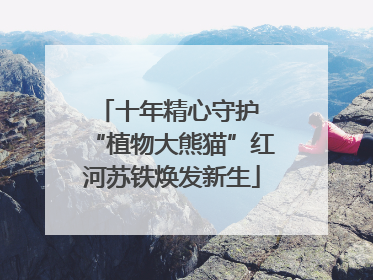 十年精心守护 “植物大熊猫”红河苏铁焕发新生