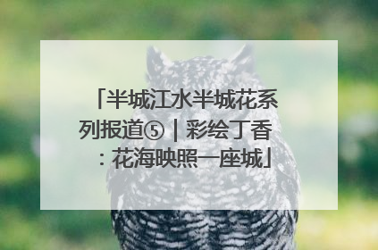 半城江水半城花系列报道⑤｜彩绘丁香：花海映照一座城