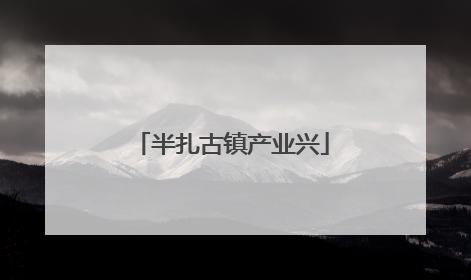 半扎古镇产业兴