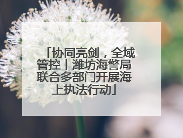 协同亮剑，全域管控丨潍坊海警局联合多部门开展海上执法行动